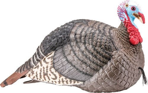 HS STRUT TURKEY DECOY JAKE - STRUT-LITE by Hunters Specialties