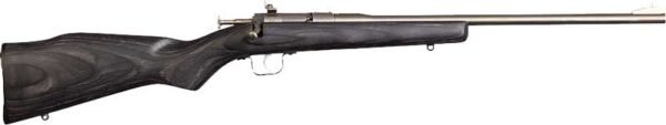 CHIPMUNK RIFLE 22LR - STAINLESS/BLACK LAMINATE