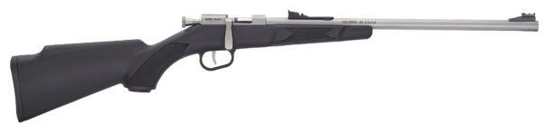 HEN MINI BOLT G2 22LR SNG SS by Henry Repeating Arms
