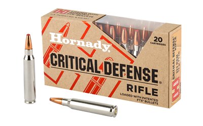 HRNDY CD 223REM 73GR FTX 20/200 by Hornady