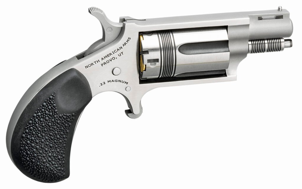 NORTH AMERICAN ARMS THE WASP 22MAG REV 1-1/8" SS