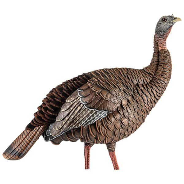Avian-X HDR Hen Turkey Decoy by Avian X