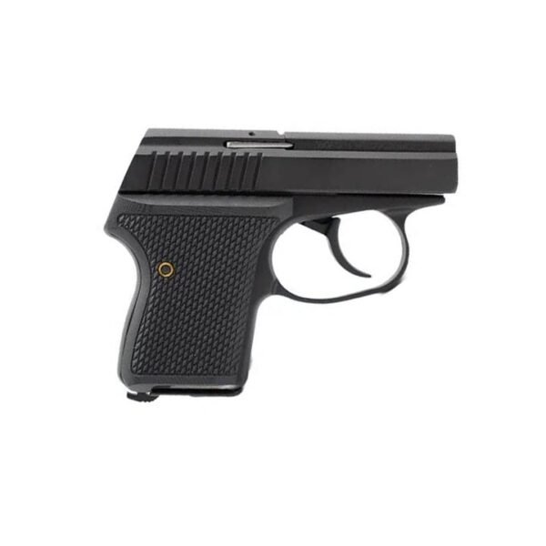 Seecamp LWS-32 Handgun 32 Auto 6rd Magazine 2" Barrel DAO Black Slide Black Grip by L.W. Seecamp Co.