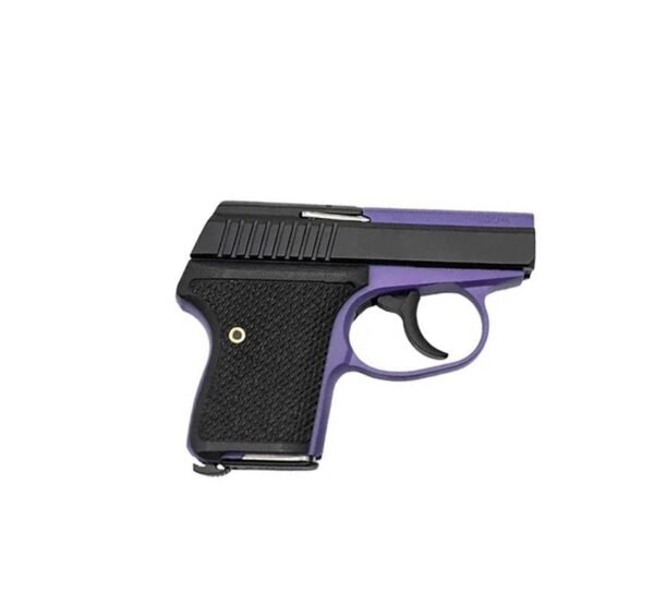 Seecamp LWS-380 Handgun 380 Auto 6rd Magazine 2" Barrel DAO Bright Purple Frame Black Grip by L.W. Seecamp Co.