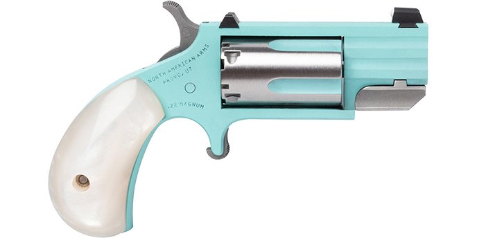 NAM PUG 22M SS 1IN HB FS TQ DE by North American Arms